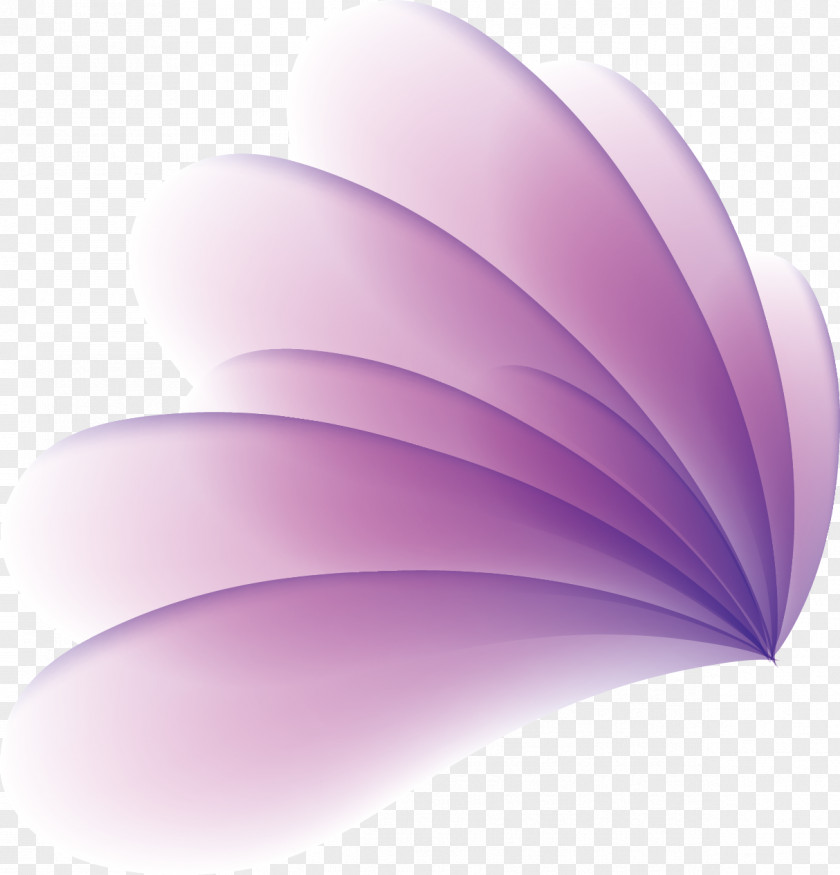 Flower Vector Euclidean Watercolor Painting PNG