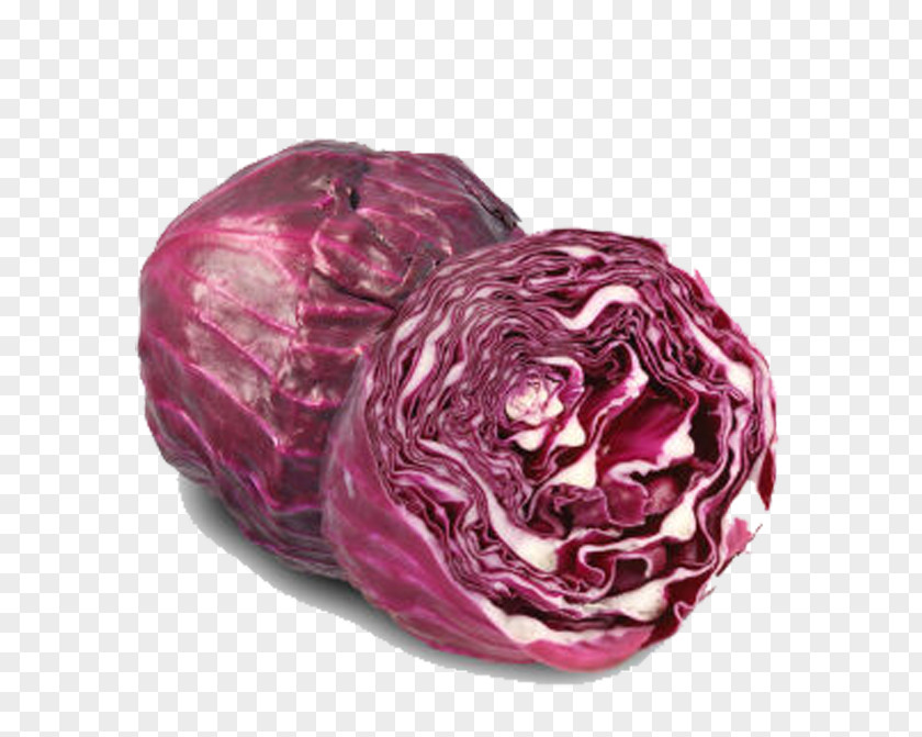 Red Cabbage PNG