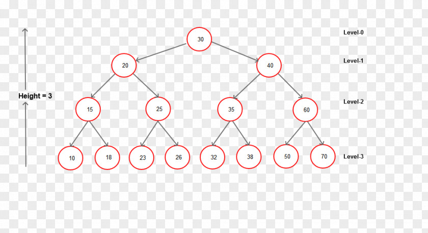 Root Circle PNG