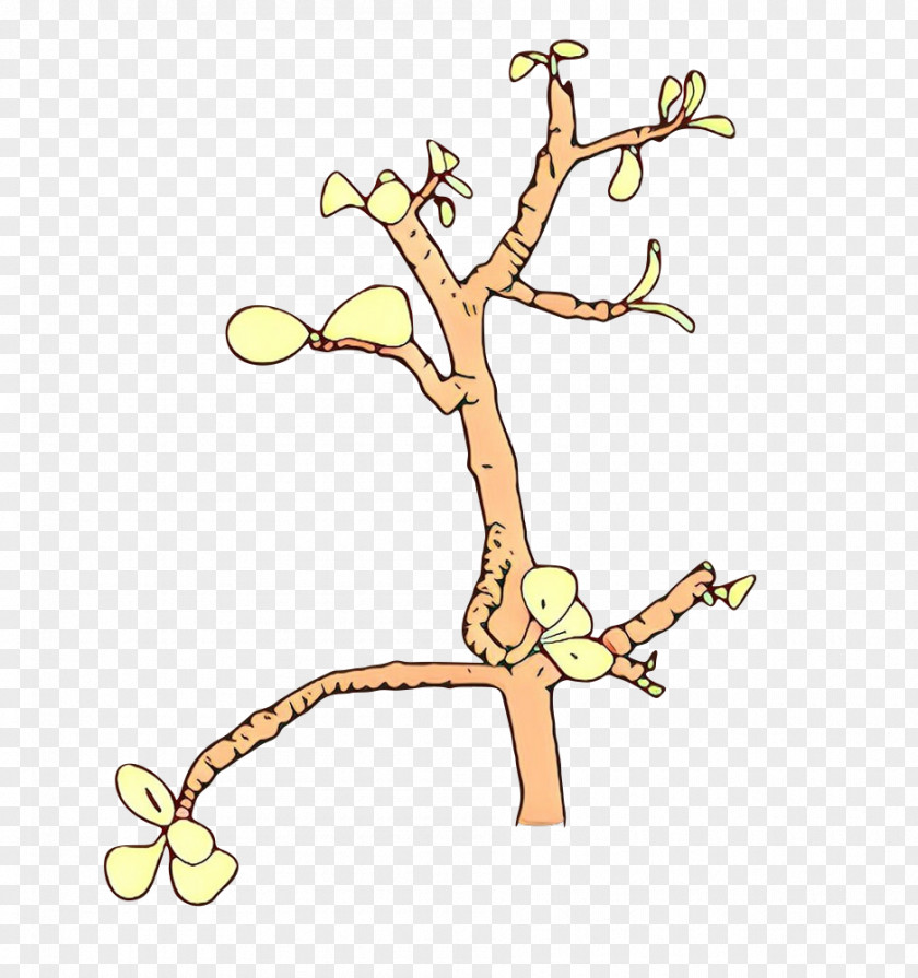 Branch Tree Plant Stem Twig PNG