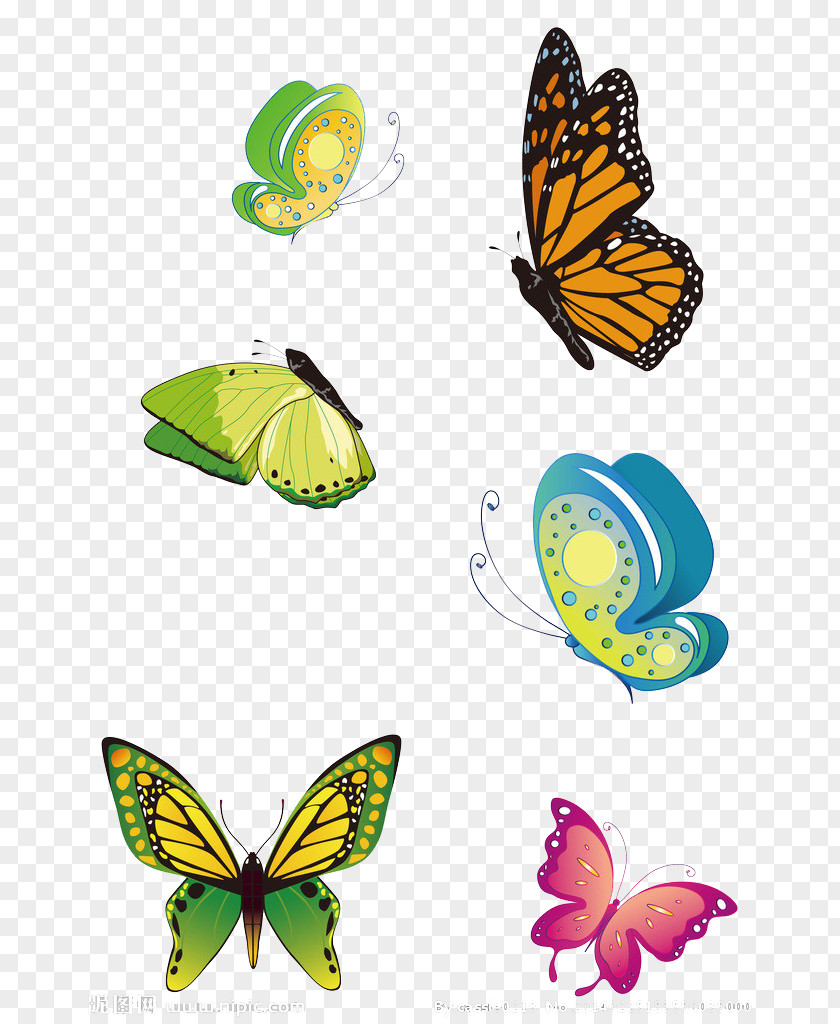 Butterfly Monarch Clip Art PNG