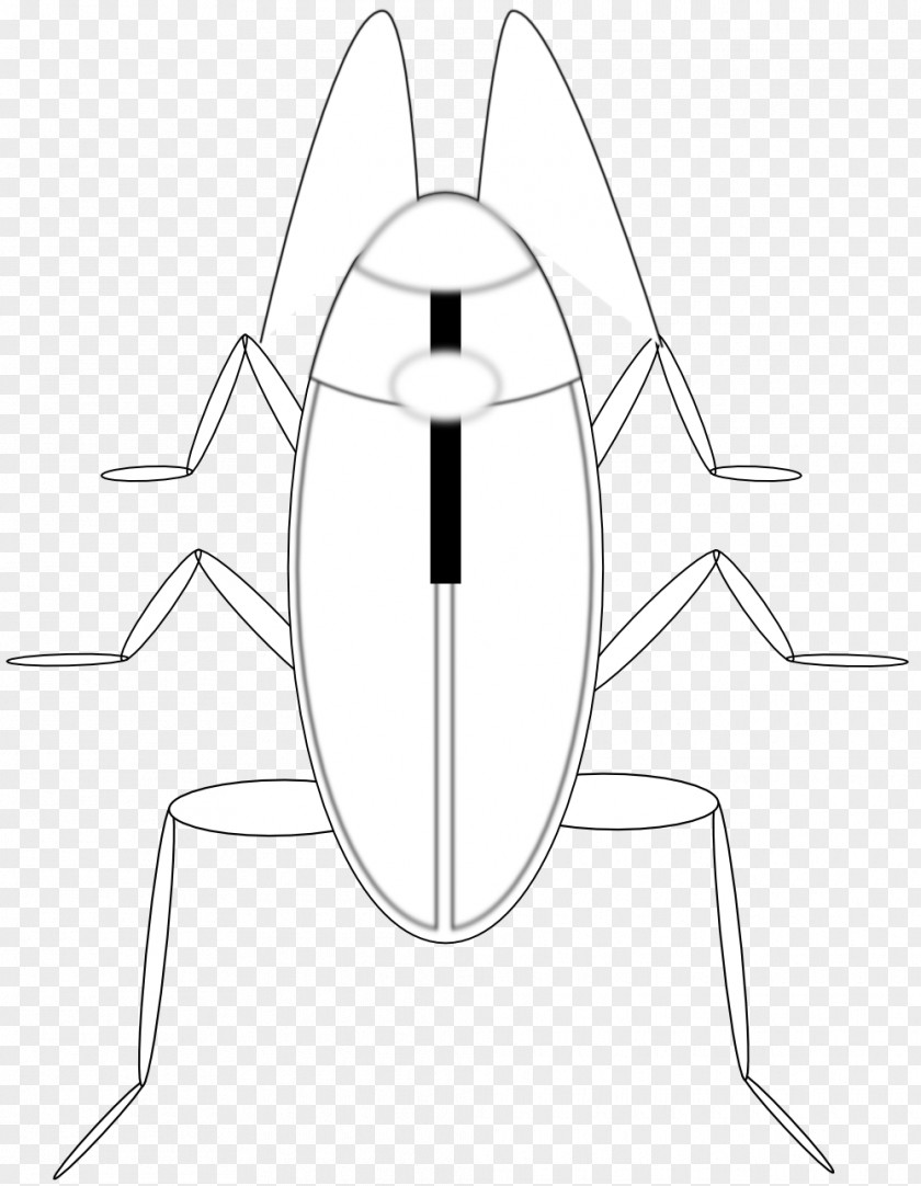 Cockroach Line Art Black And White Coloring Book Drawing Clip PNG