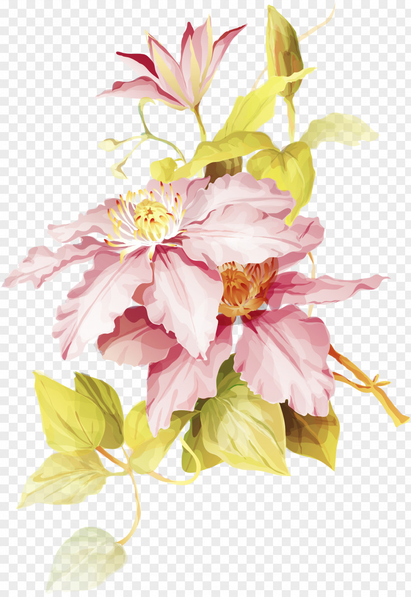 Floral Drawing Watercolor Painting PNG