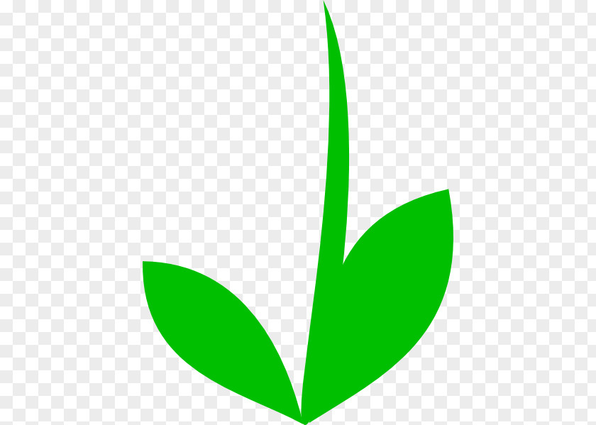 Flower Stem Template Plant Leaf Clip Art PNG