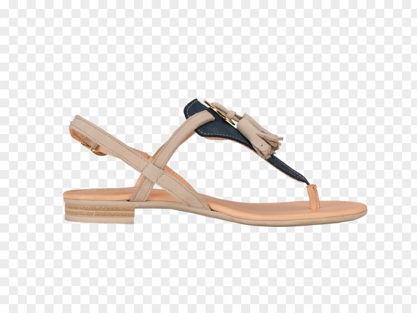 Sandal Beige Shoe PNG