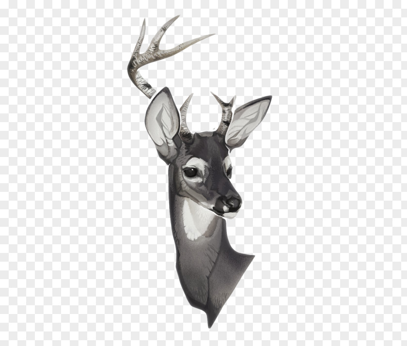 Watercolor Animals Reindeer Sketch PNG