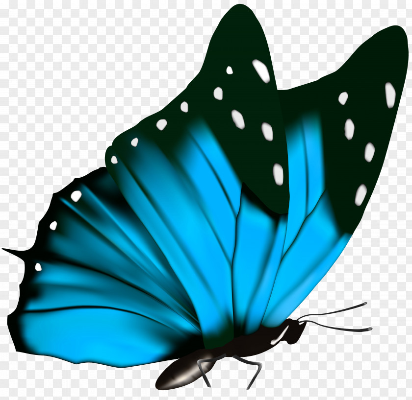 Butterfly Clipart Image Green Clip Art PNG