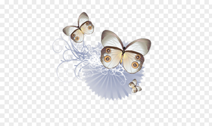 Butterfly Euclidean Vector Ornament PNG