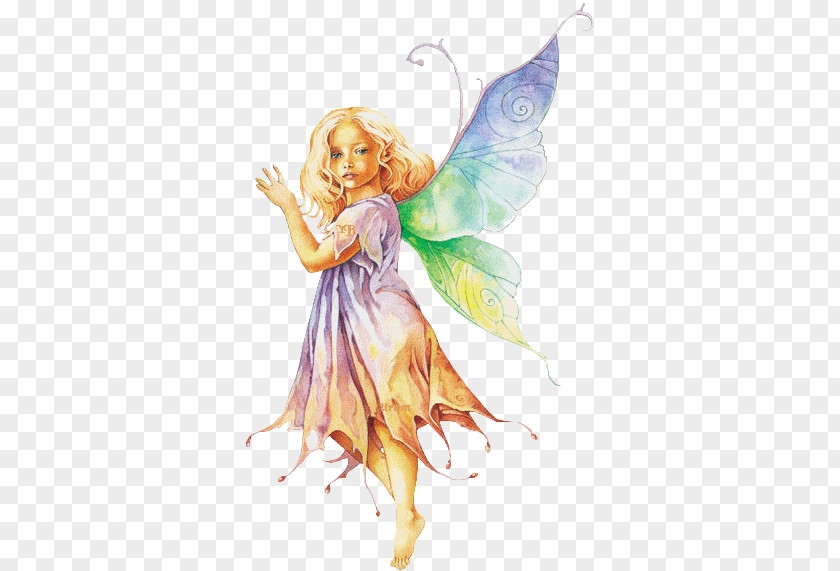 Elf Morgan Le Fay Fairy Lutin Spirit PNG