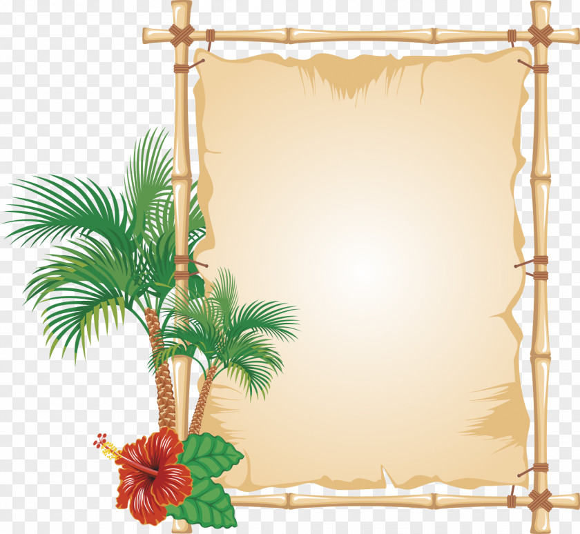 Palm Border PNG