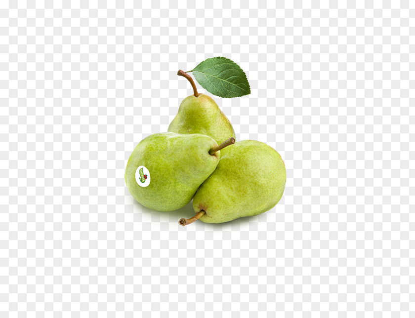 Pera European Pear Fruit Apple Greengrocer PNG