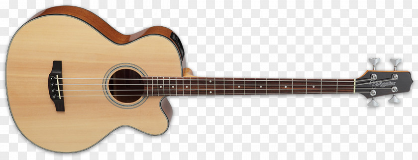 Acoustic Guitar Acoustic-electric Takamine Guitars Bass PNG