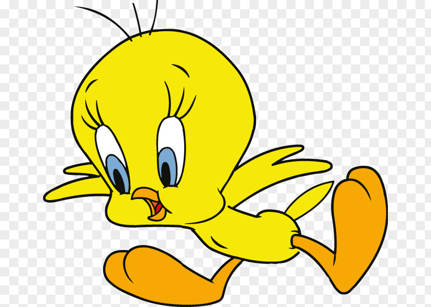 Animation Tweety Sylvester Drawing Clip Art PNG
