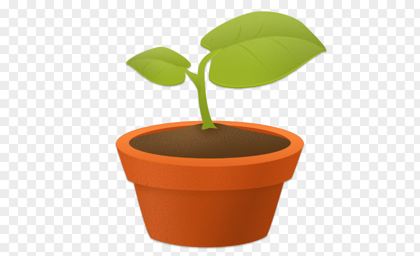 Flowerpot Bonsai Seedling Sprouting PNG