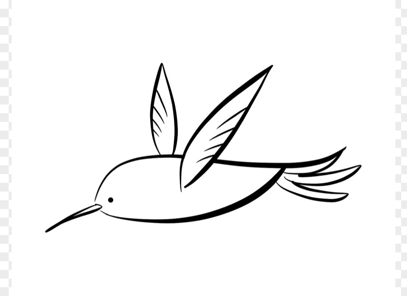 Humming Bird Cartoon Hummingbird Coloring Book Drawing Clip Art PNG