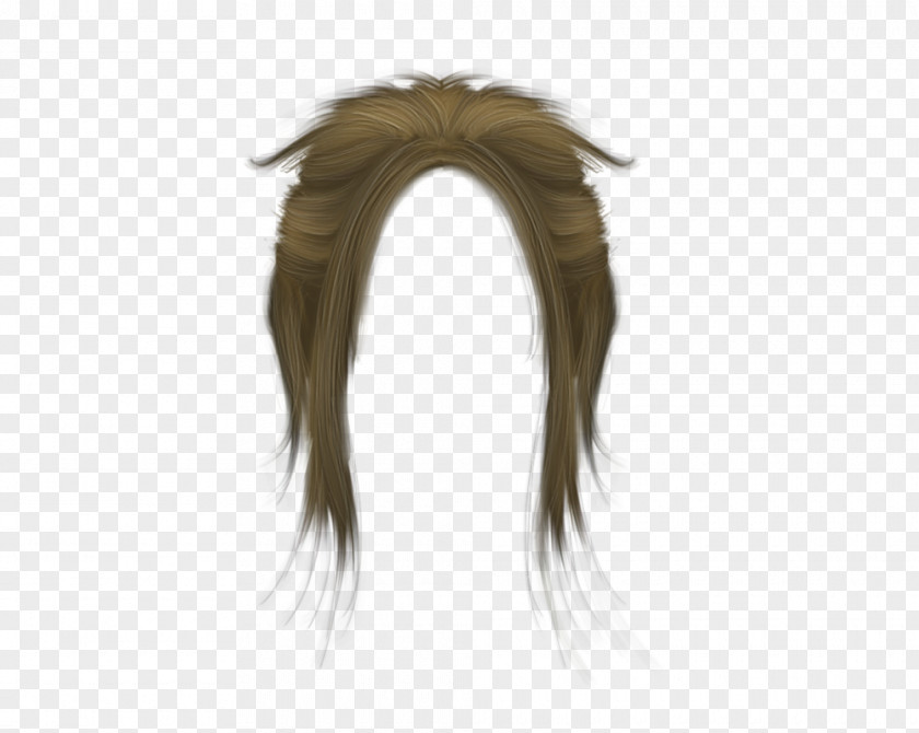 Long Hair Wig Black PNG