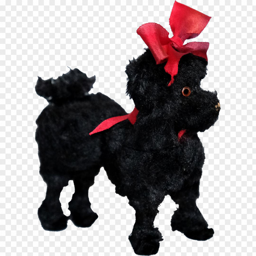 Poodle Schnoodle Affenpinscher Scottish Terrier Dog Breed Puppy PNG