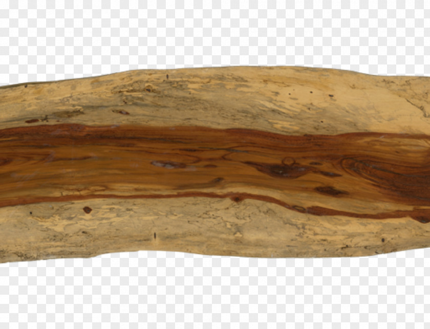 Tamarind Fruit Sun Wood By Stainer Lumber Tree Indonesia PNG