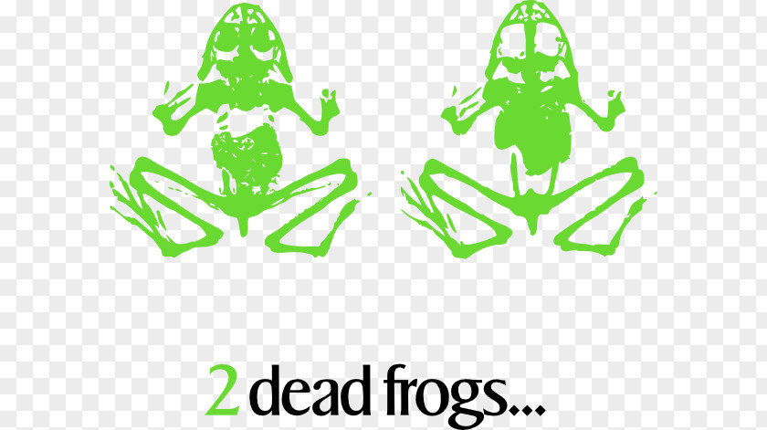 Dead Fish Clipart Frog Death Clip Art PNG