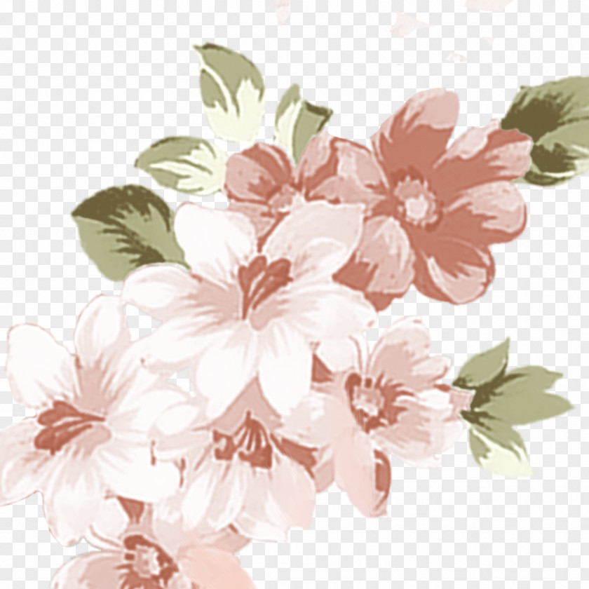 Floral Pattern Design Rosaceae Cherry Blossom PNG
