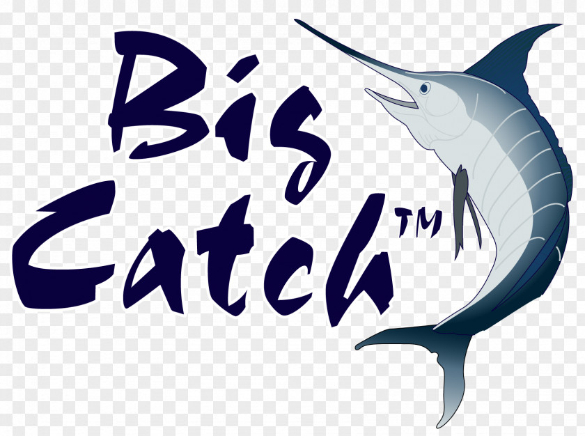 Shark Logo Font Brand Dolphin PNG