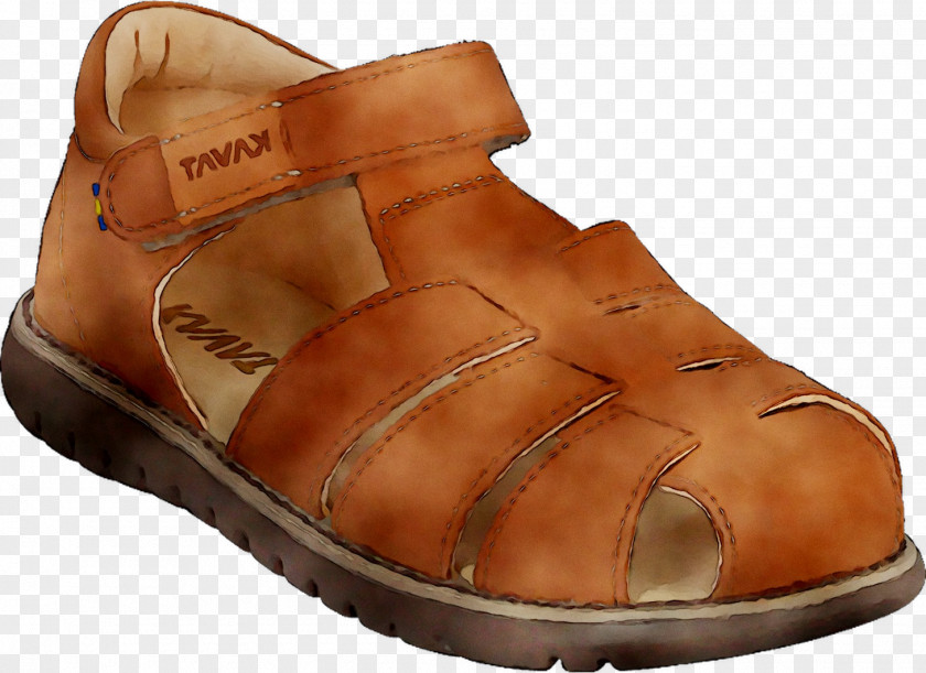 Shoe Sandal Leather Walking PNG