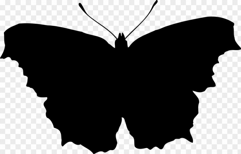 Vis Vector Butterfly Clip Art Insect Silhouette PNG