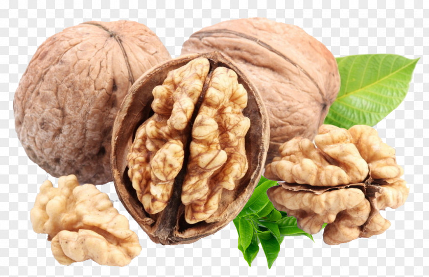 Walnut English Omega-3 Fatty Acid Calorie Almond PNG
