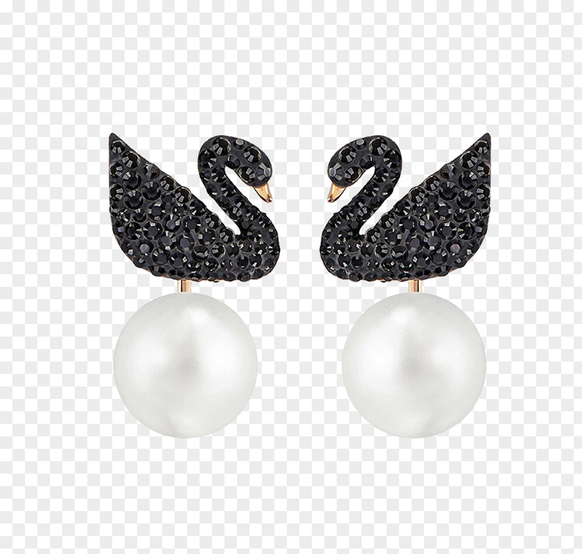 Black Swan Earrings Earring Cygnini Swarovski AG Jewellery PNG