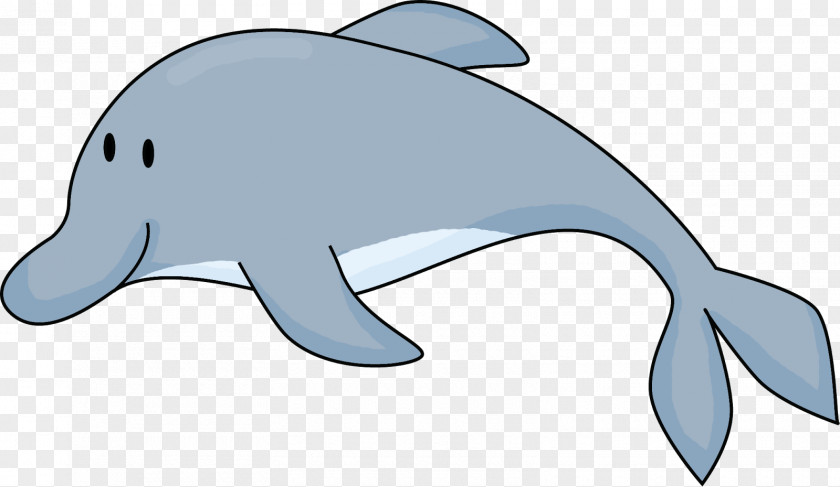 Fancy Dolphin Cliparts Common Bottlenose Tucuxi Rough-toothed Porpoise Clip Art PNG
