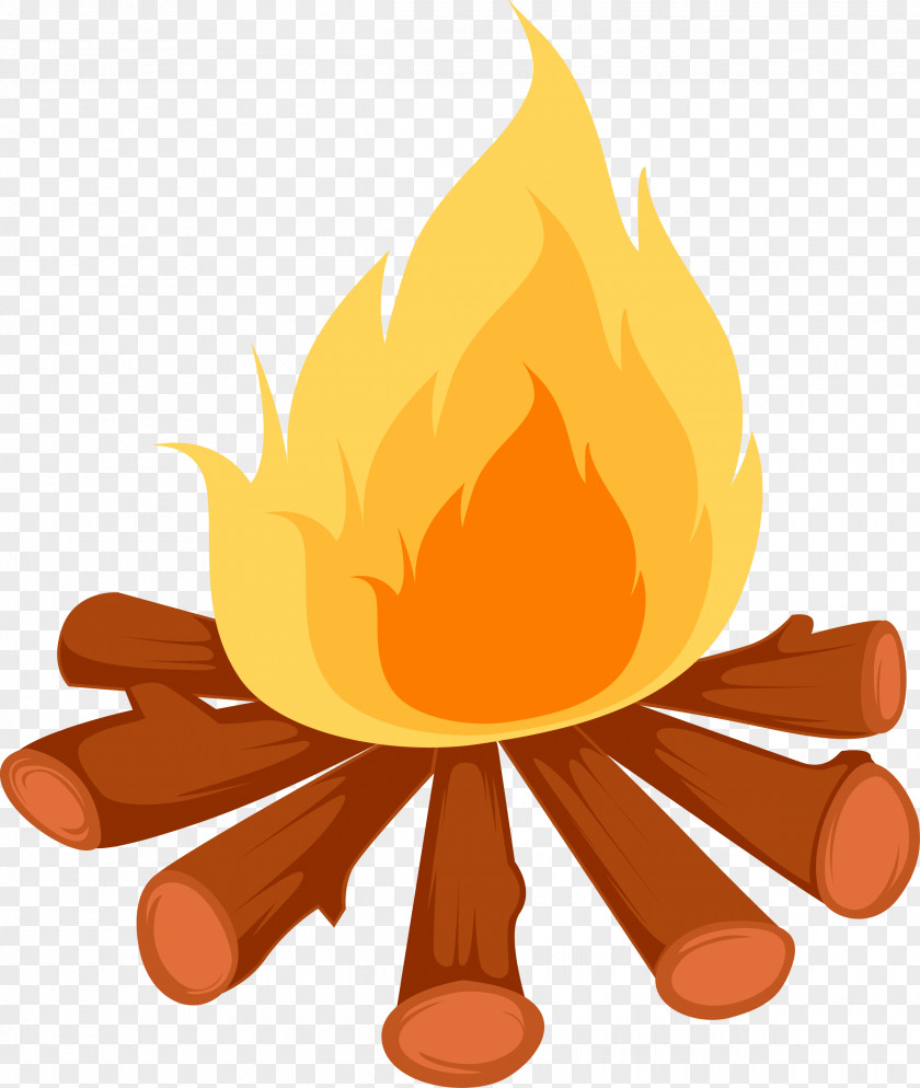 Fire Clip Art Combustion Chemical Change Physical PNG