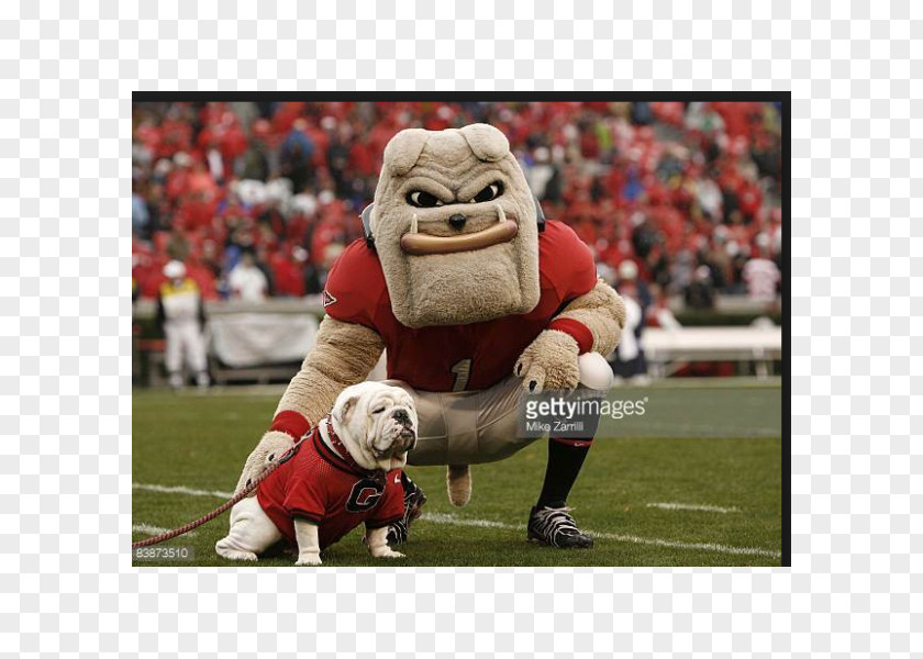 Georgia Bulldogs University Of Football Mississippi State Hairy Dawg PNG