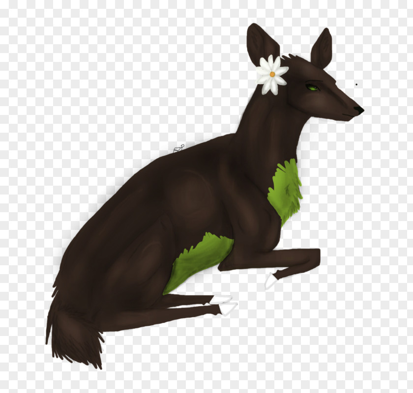 Hair Forest Macropodidae Horse Mammal PNG