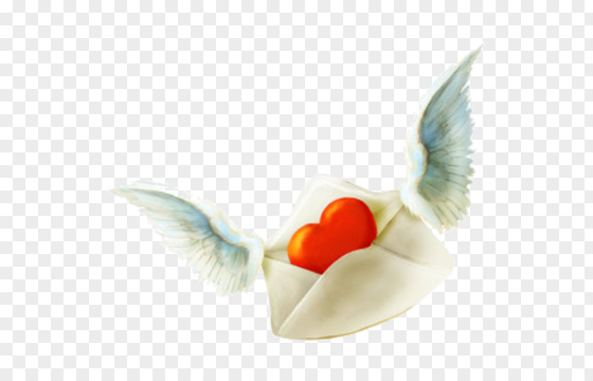 Heart Symbol Love Drawing PNG