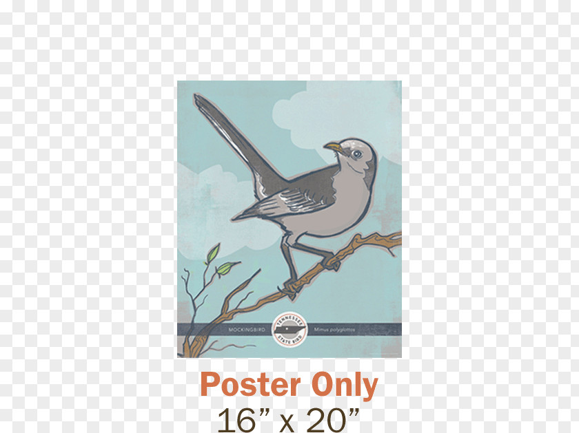 Juice Posters Northern Mockingbird Tennessee Texas State Bird PNG