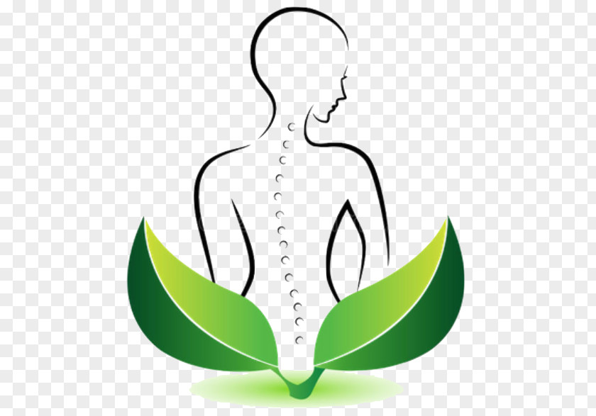 Meditation Plant Green Leaf Logo PNG