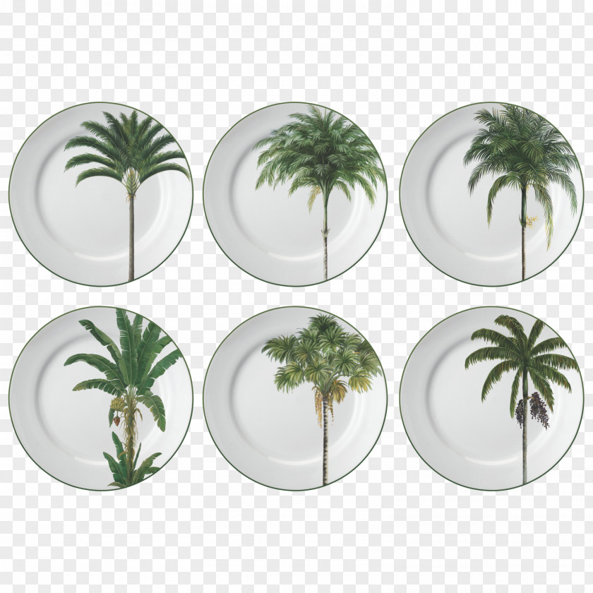 Plate Porcelana Schmidt S.A. Porcelain Stoneware Meal PNG