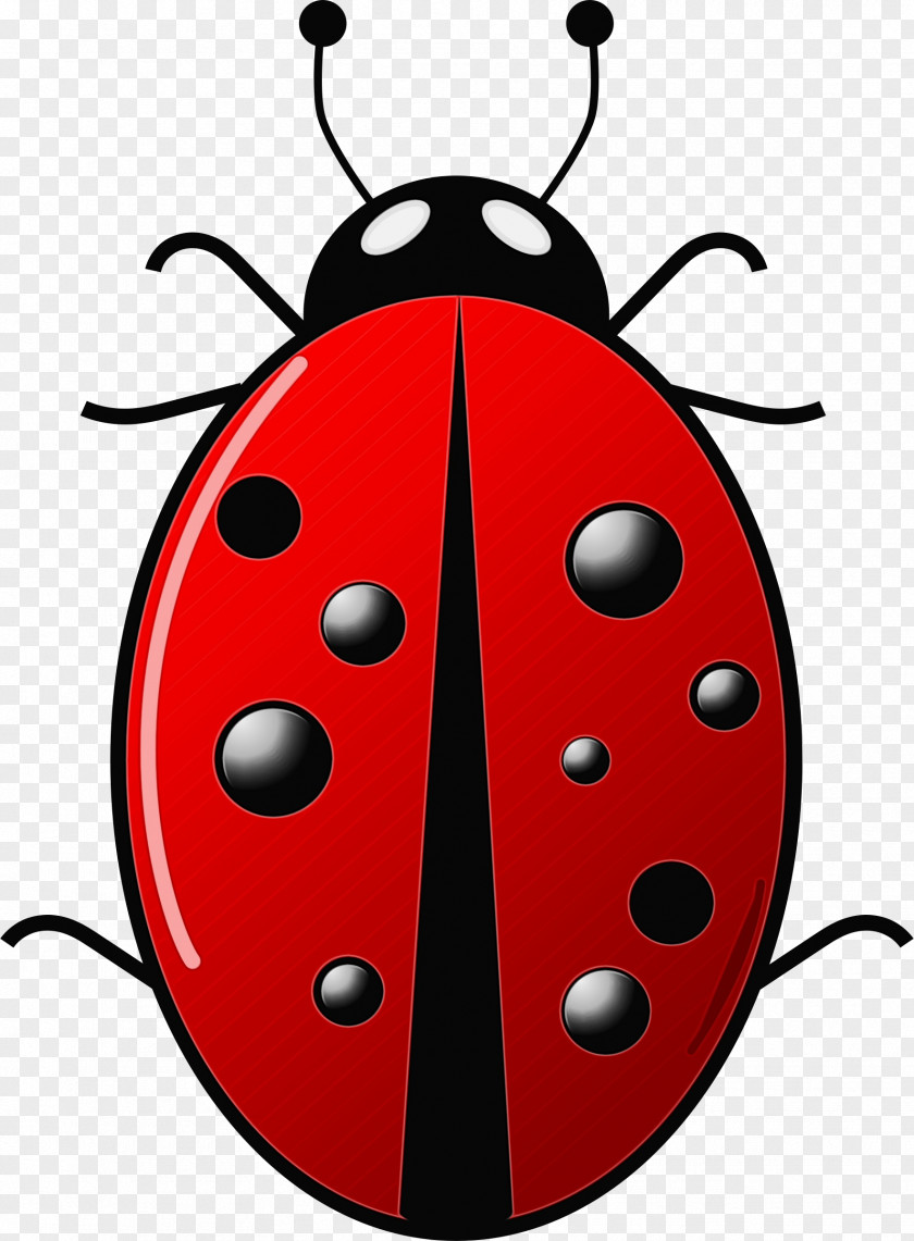 Red Bugs Ladybug Ant Cartoon PNG