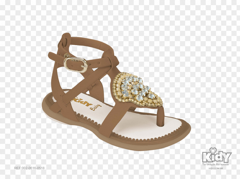Sandal Shoe Footwear Buckle Female PNG