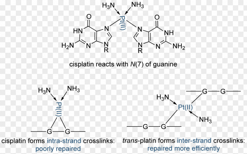 Science Chemistry Technology Catalysis Chemical Element PNG