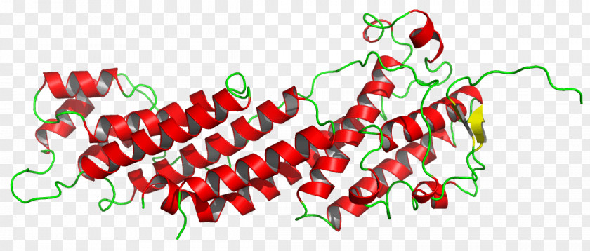 Science Protein Secondary Structure Prediction Crystallography PNG