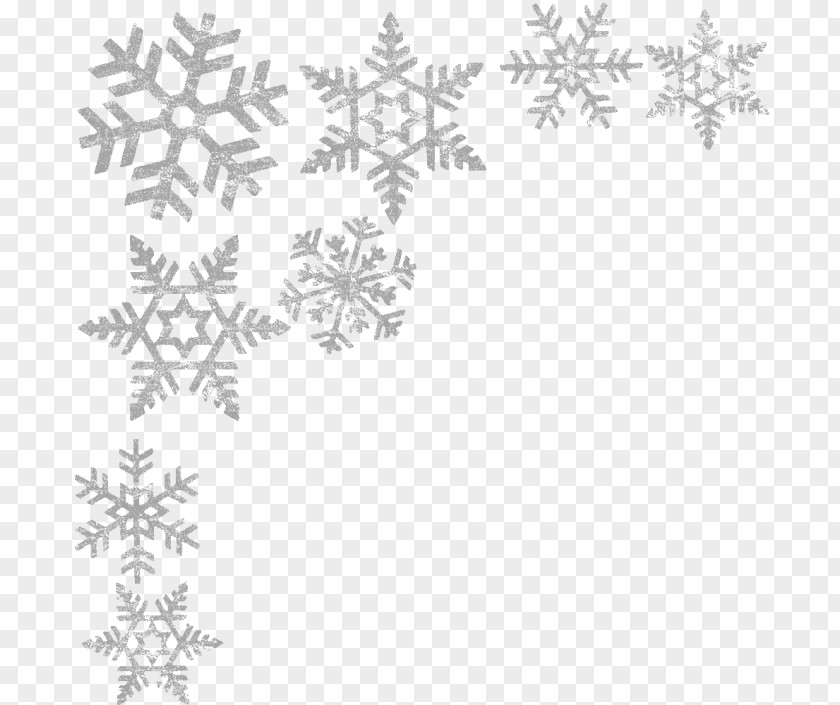 Snowflake Black And White Clip Art PNG