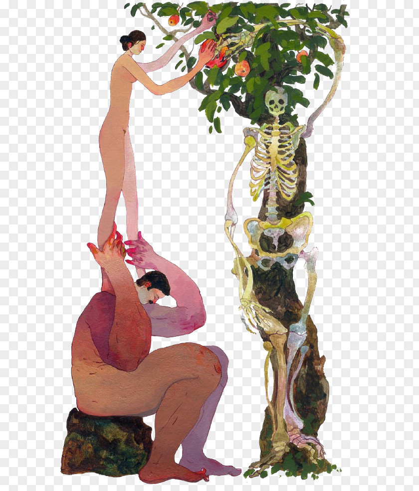 Cartoon Picking Fruit Woman Illustration PNG