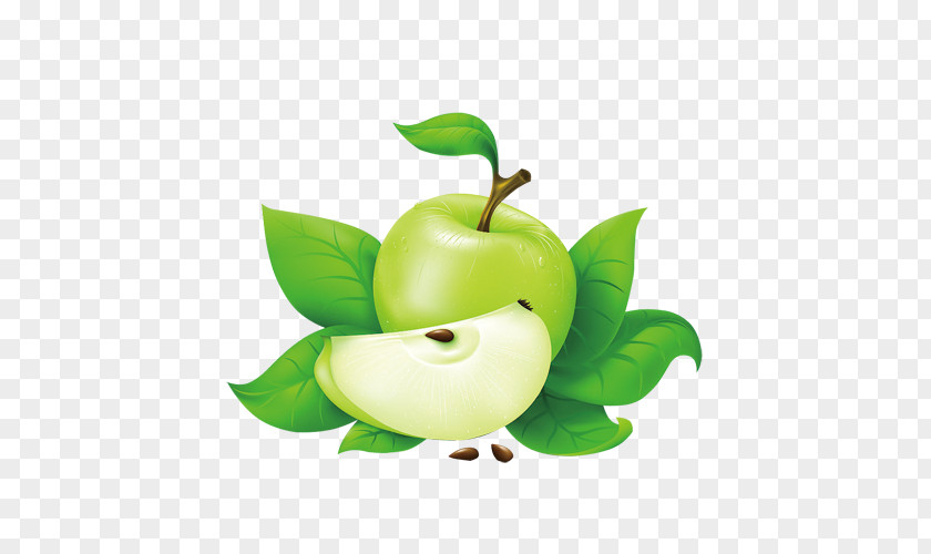 Green Apple Clip Art PNG