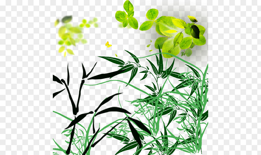 Succulents Grass Bamboo PNG