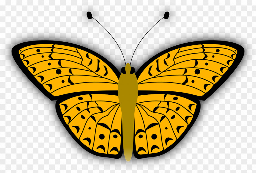 Butterfly Art Emoji Unicode Clip PNG
