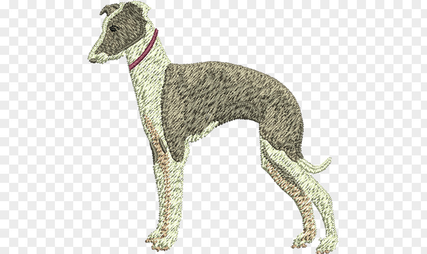 Italian Greyhound Spanish Whippet Sloughi PNG