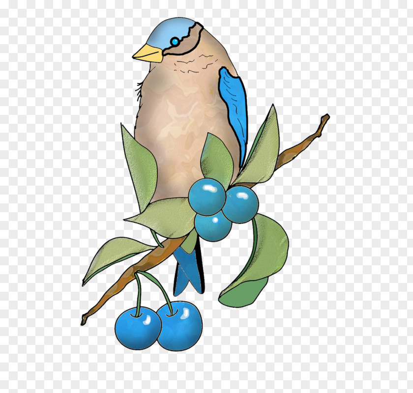 Oiseau Watercolor Clip Art Bird Illustration Adobe Photoshop PNG