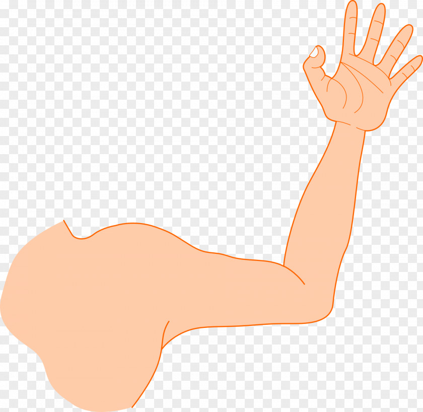 Strong Man Arm Muscle Clip Art PNG