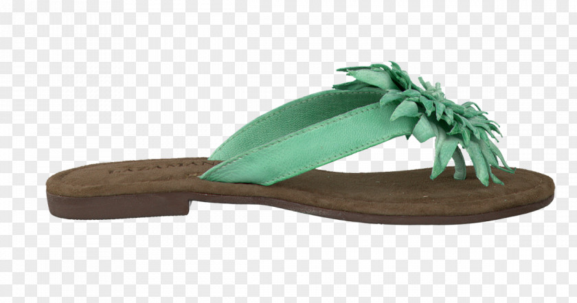 Flip Flops For Women Flip-flops Sandal Leather Shoe Suede PNG